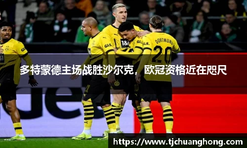 多特蒙德主场战胜沙尔克，欧冠资格近在咫尺